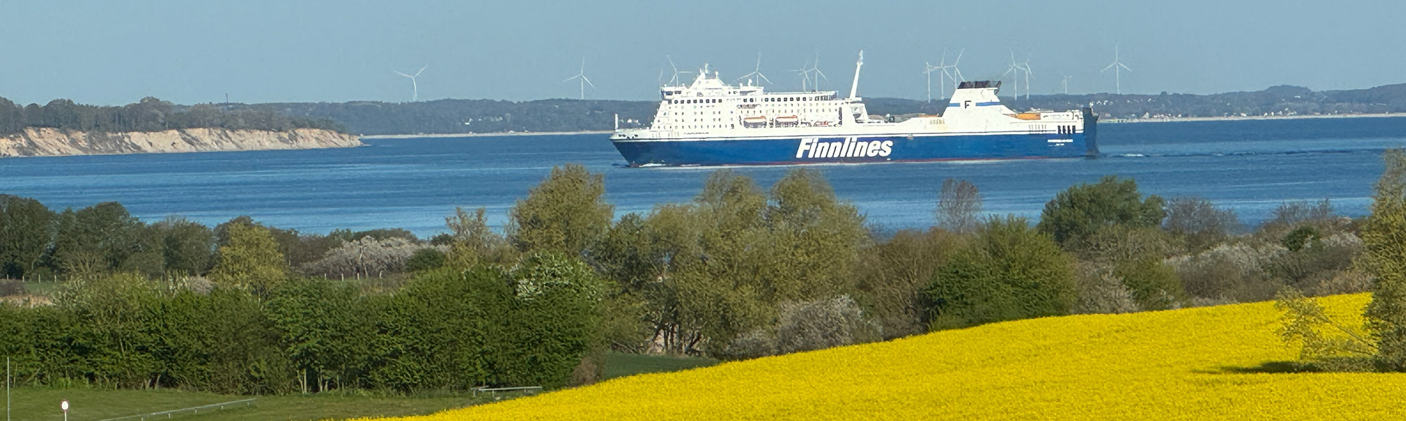 Seepanorama: Ausblick - Schiff und Raps